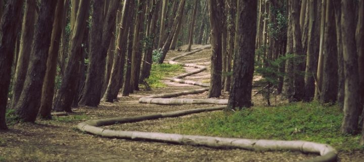 A Passage Through The Mountain