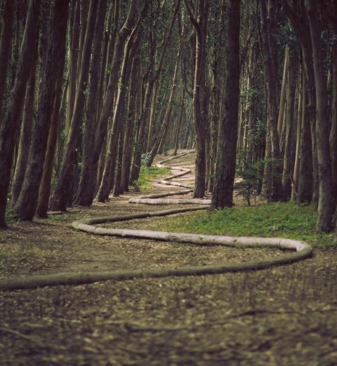 A Passage Through The Mountain